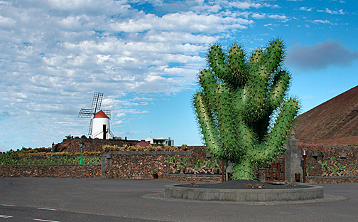 Ingang Jardin de Cactus
